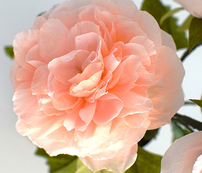 Double sided werola crepe paper