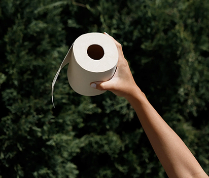 Compostable Bulk Toilet Paper for Sustainable Facilities