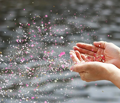 Biodegradable Pink Confetti for Sustainable Events