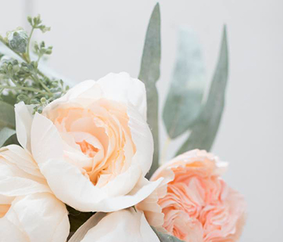 Creating Elegant Paper Roses with White Crepe Paper