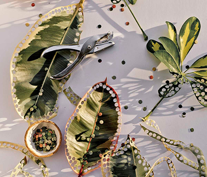 How Papercuts Confetti Supports Eco-Friendly Party Decorations
